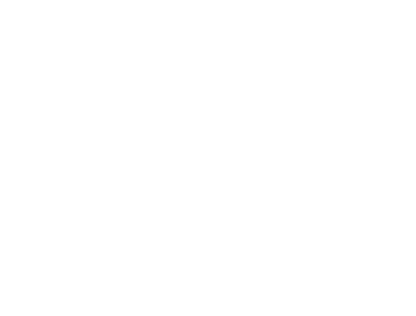 Viselio AG